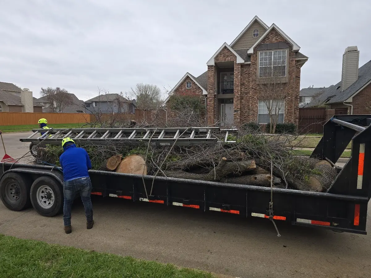 Expert Tree Fertilization with proper safety equipment in Maysville